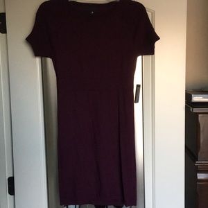 NWT sweater dress